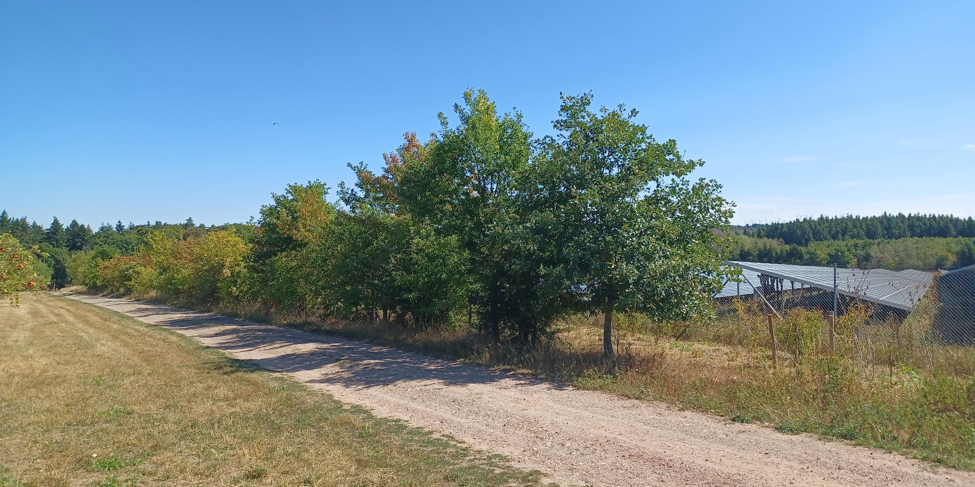 Solarpark Sinzheim